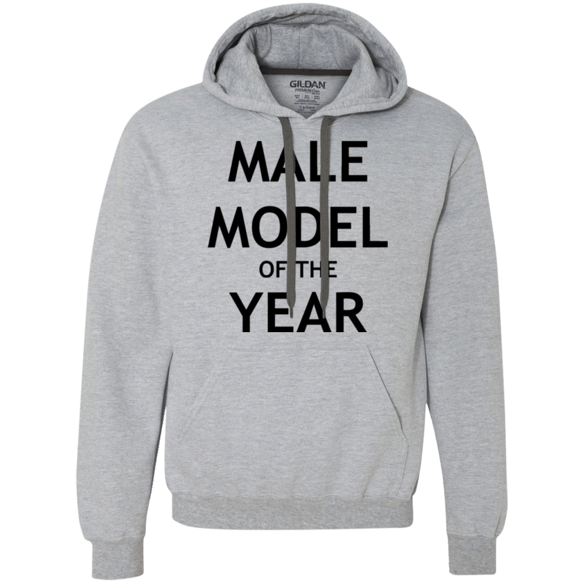 Sweatshirts Sport Grey / Small Model of the Year Premium Fleece Hoodie