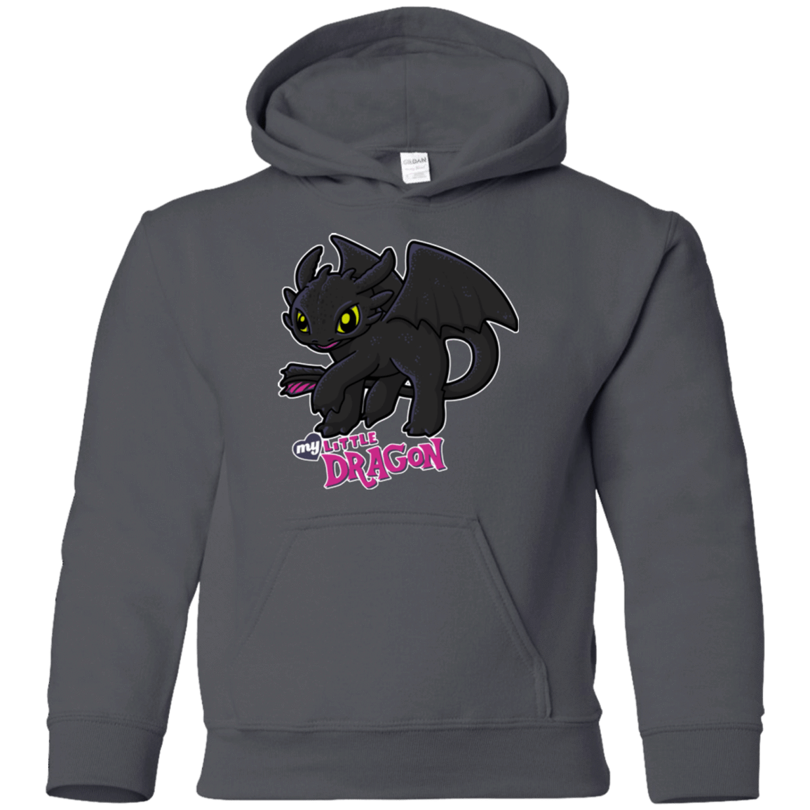 Sweatshirts Charcoal / YS MY LITTLE DRAGON Youth Hoodie