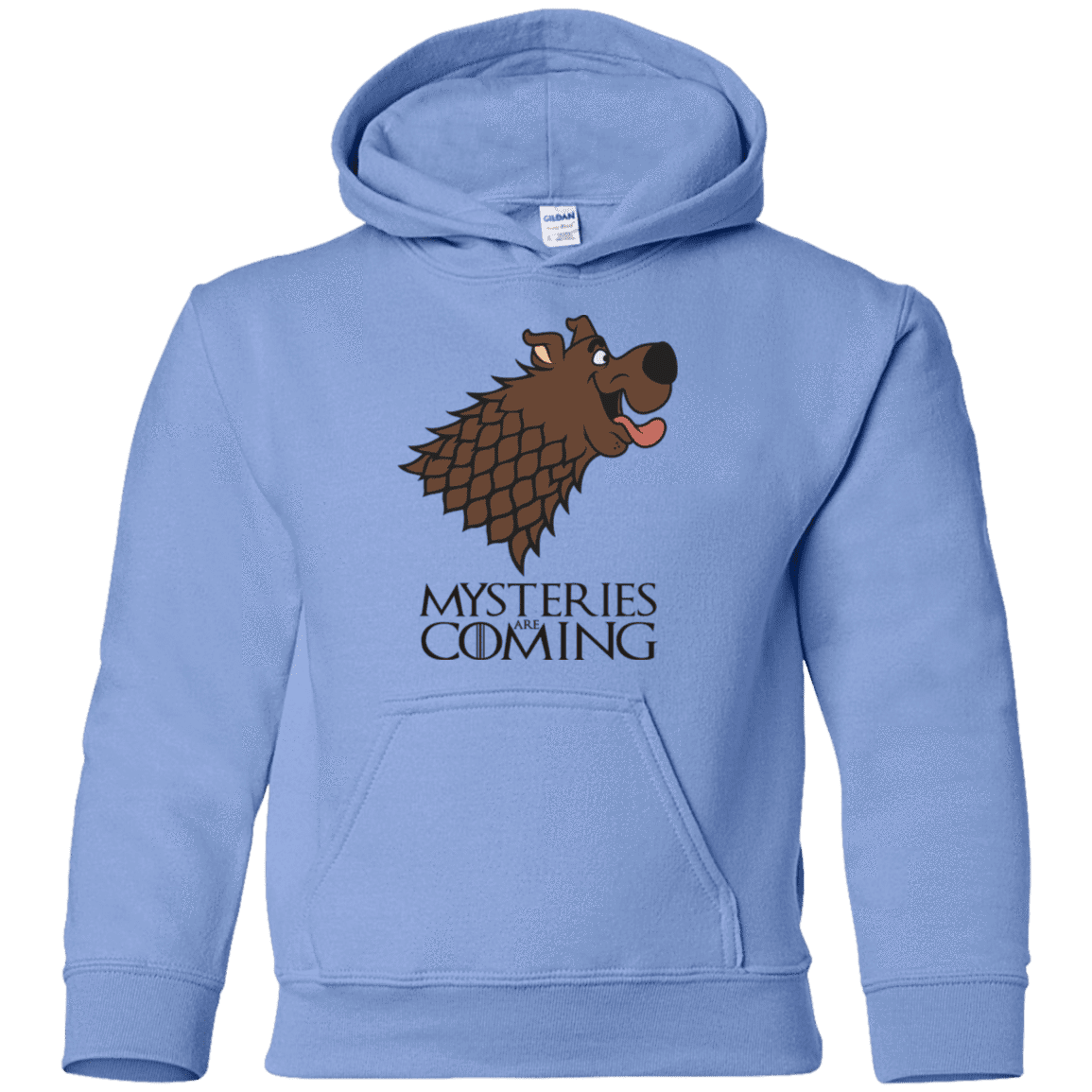 Sweatshirts Carolina Blue / YS Mysteries Are Coming Youth Hoodie