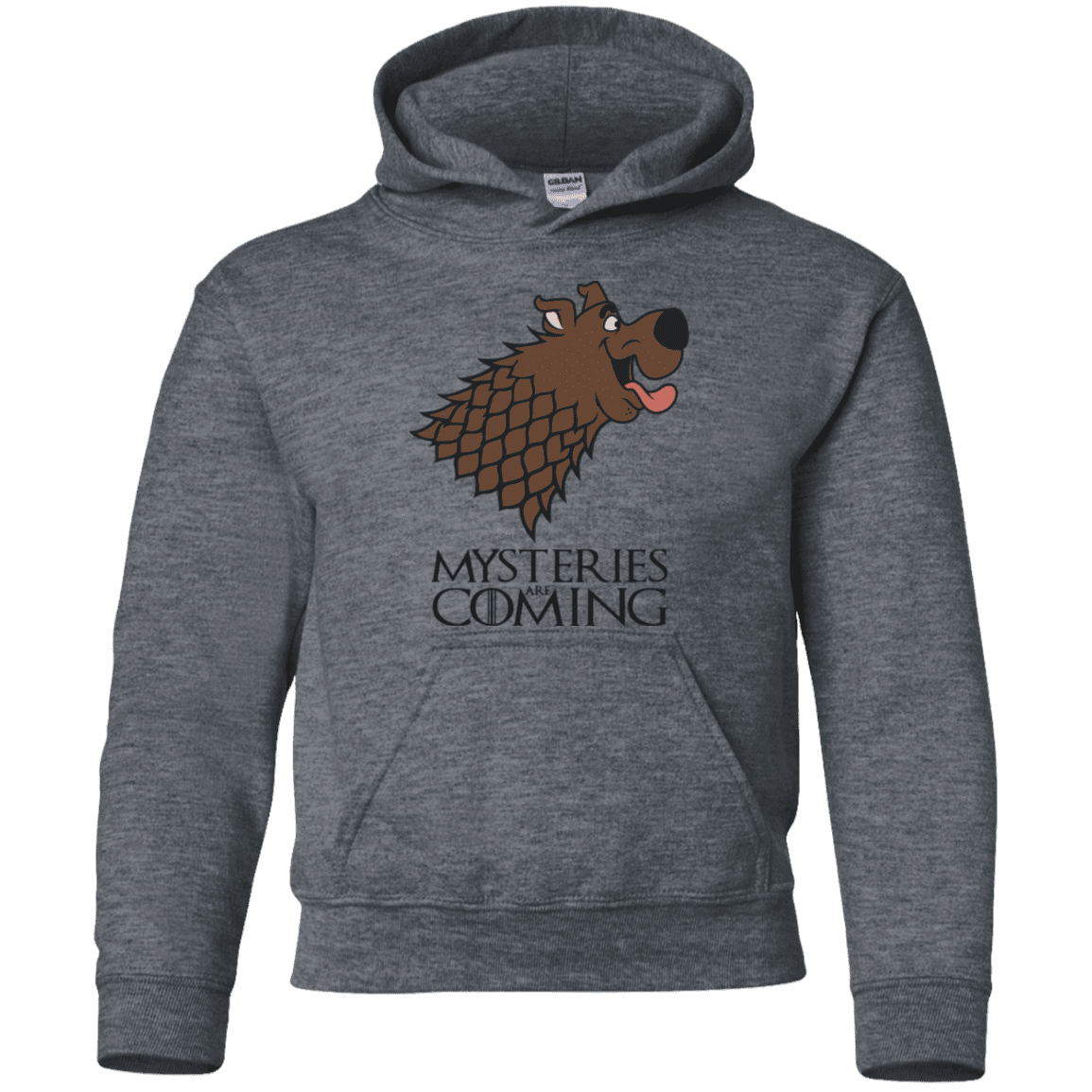 Sweatshirts Dark Heather / YS Mysteries Are Coming Youth Hoodie