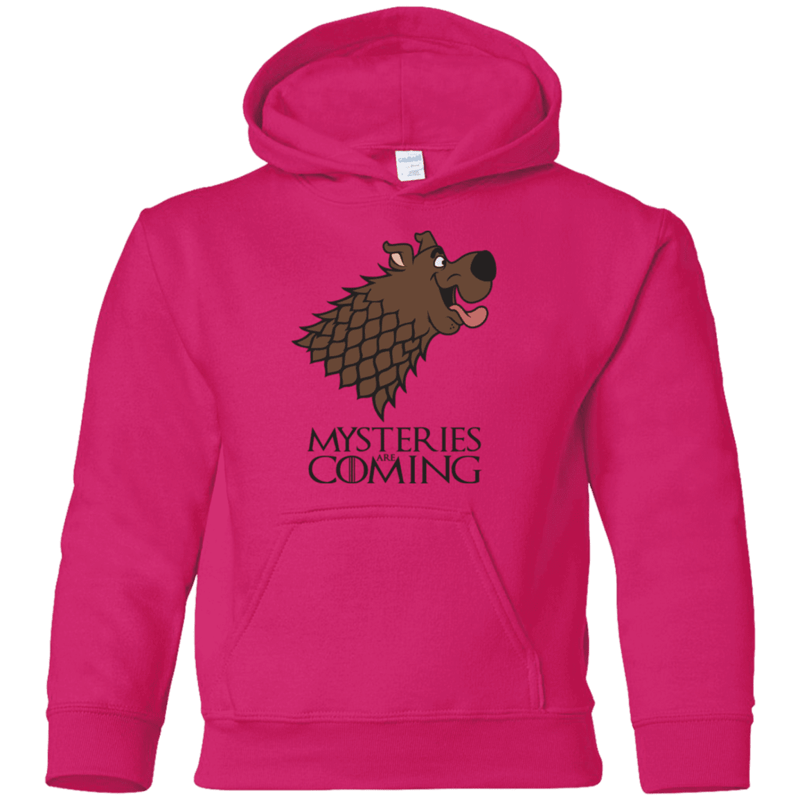 Sweatshirts Heliconia / YS Mysteries Are Coming Youth Hoodie