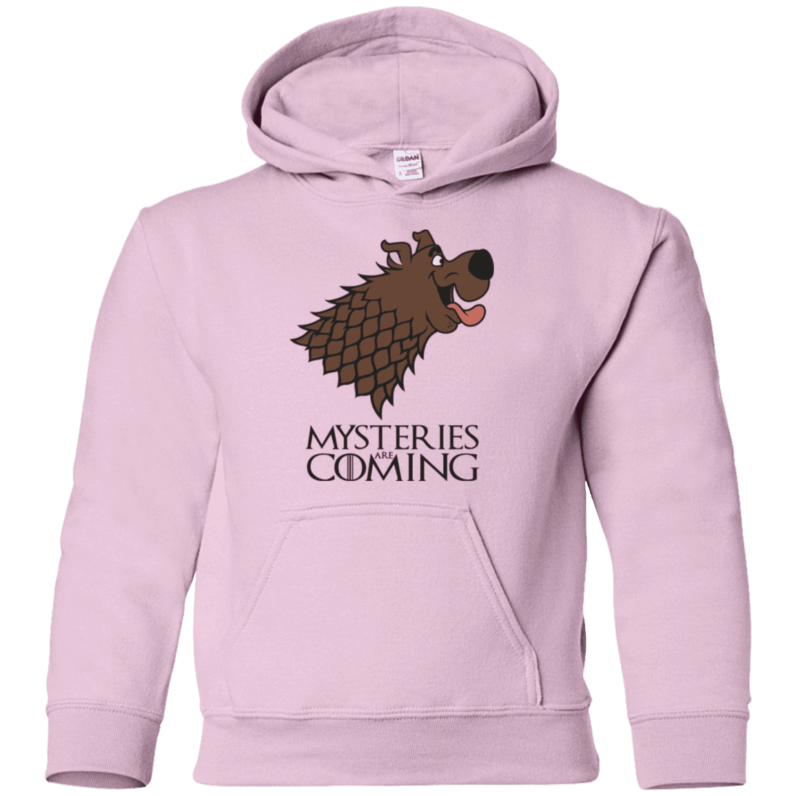 Sweatshirts Light Pink / YS Mysteries Are Coming Youth Hoodie