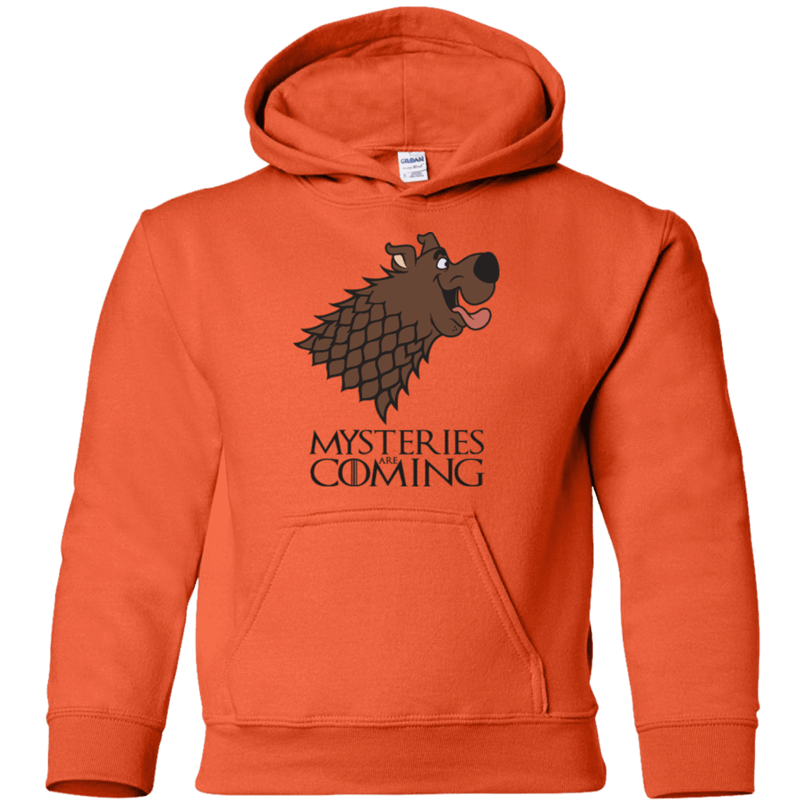 Sweatshirts Orange / YS Mysteries Are Coming Youth Hoodie