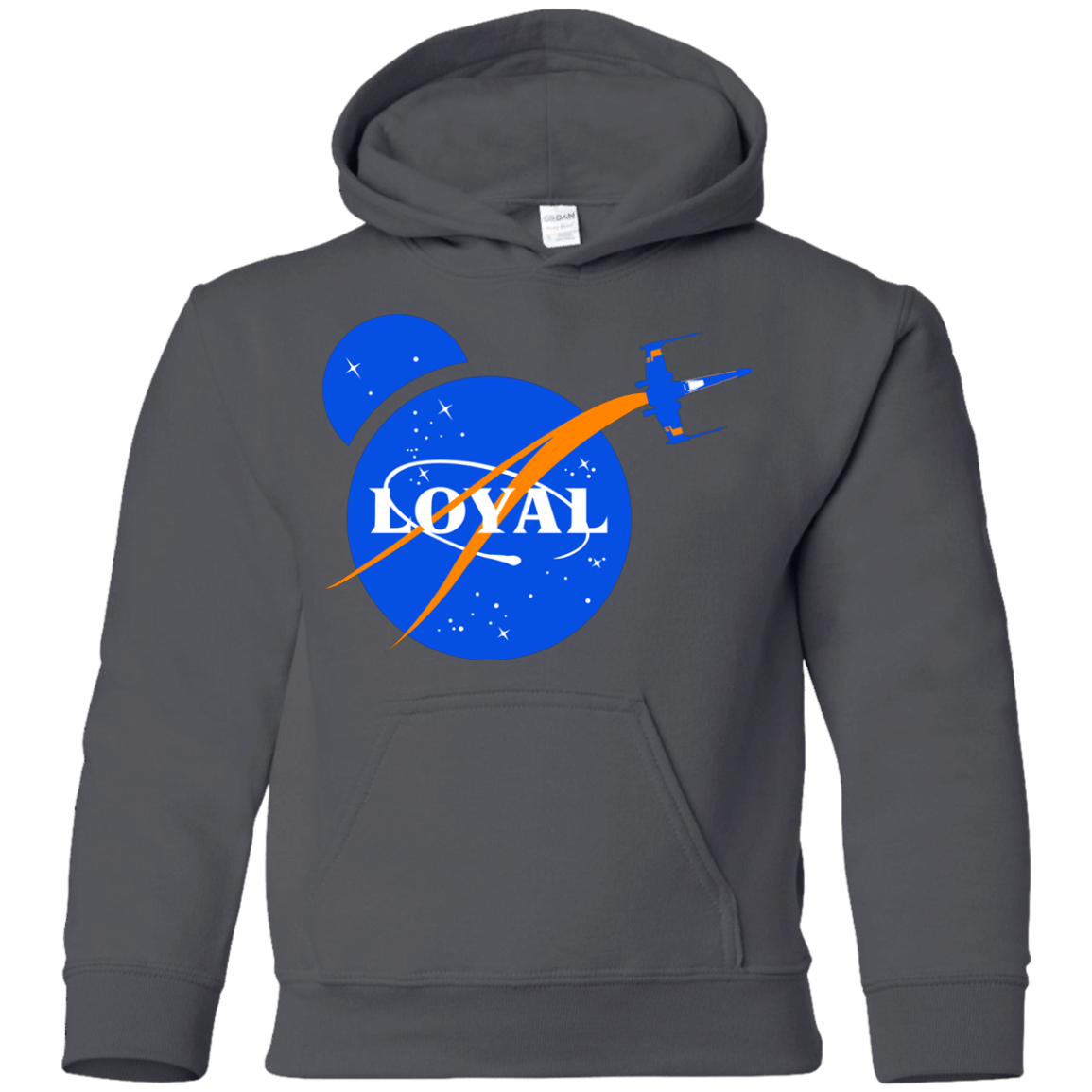 Sweatshirts Charcoal / YS Nasa Dameron Loyal Youth Hoodie