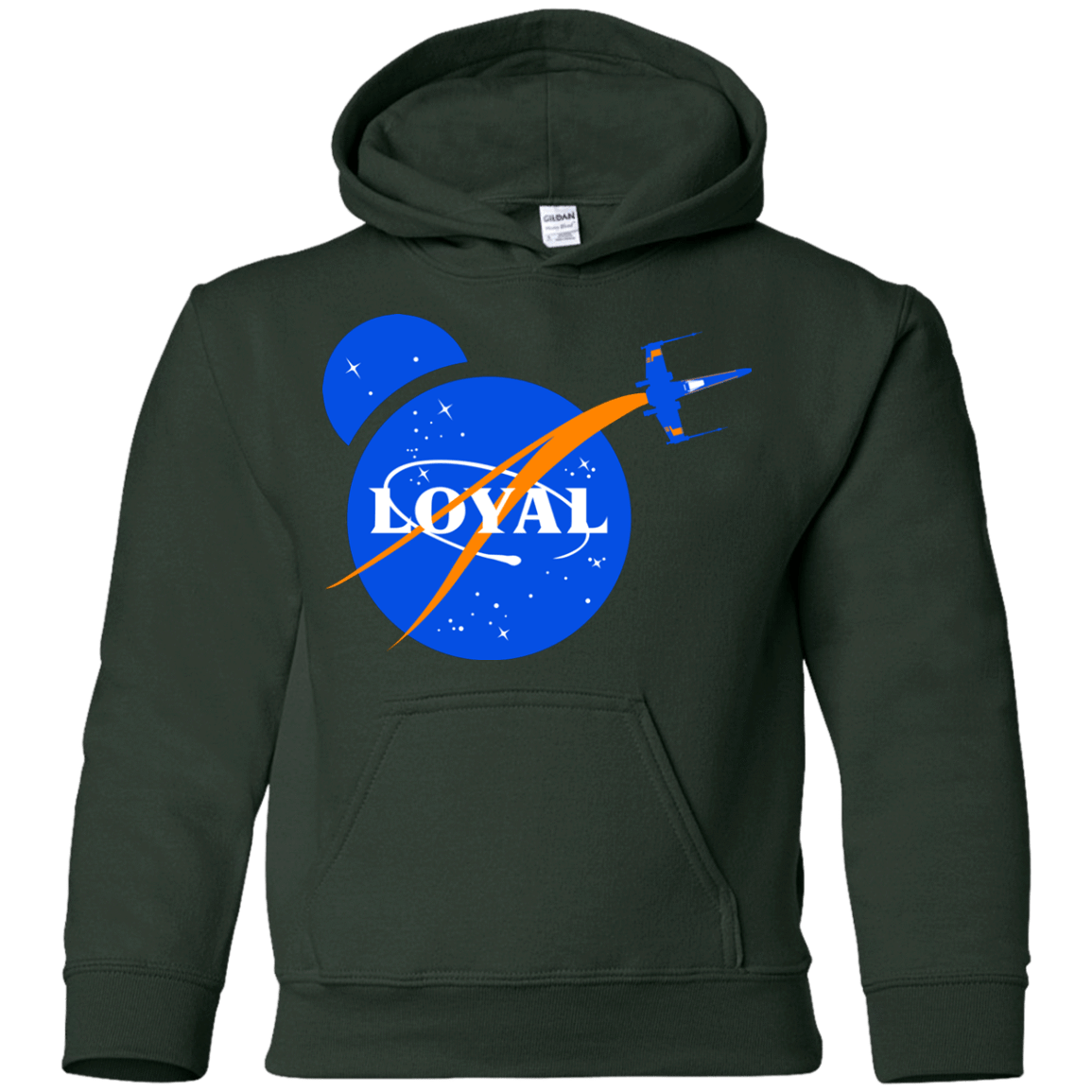 Sweatshirts Forest Green / YS Nasa Dameron Loyal Youth Hoodie
