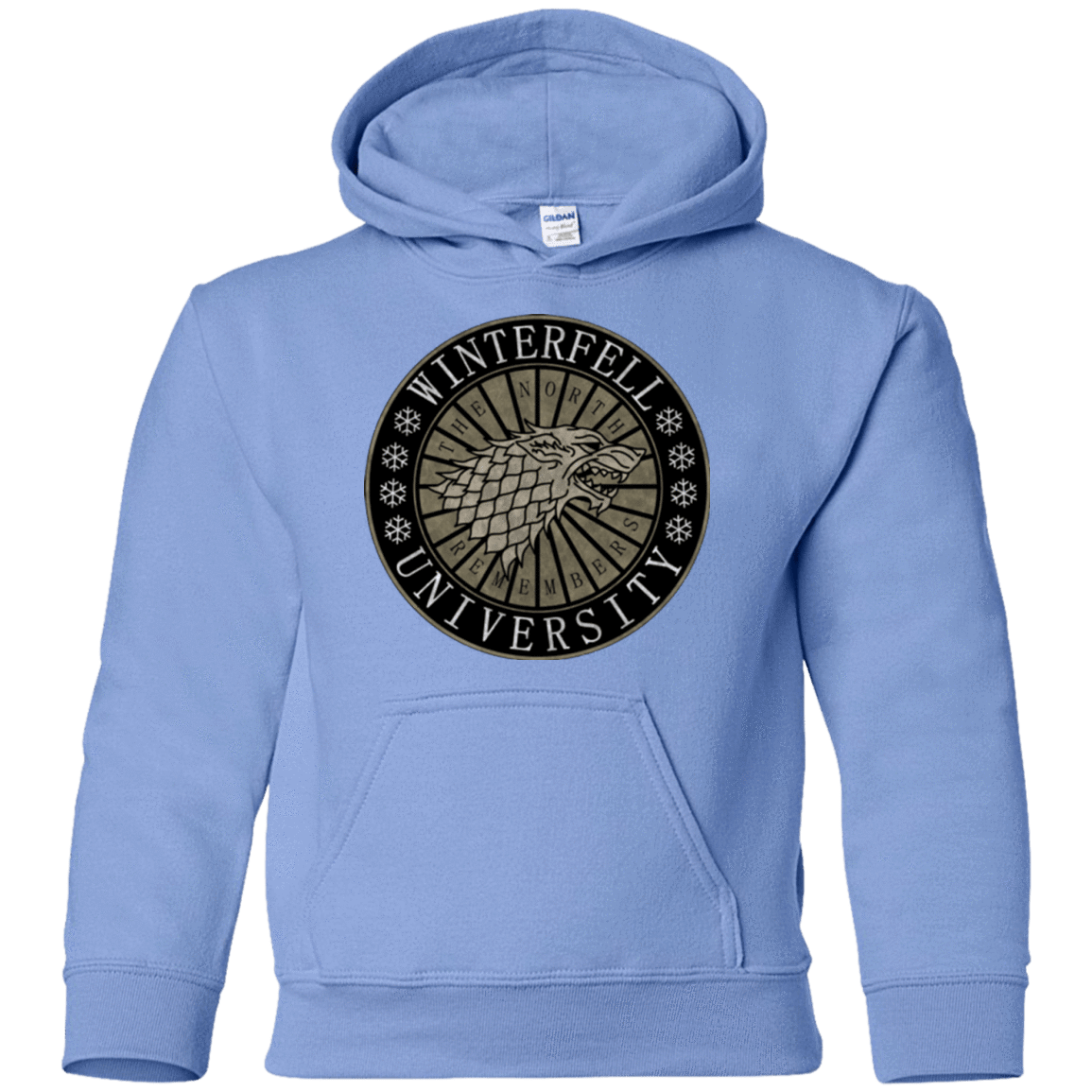 Sweatshirts Carolina Blue / YS North university Youth Hoodie