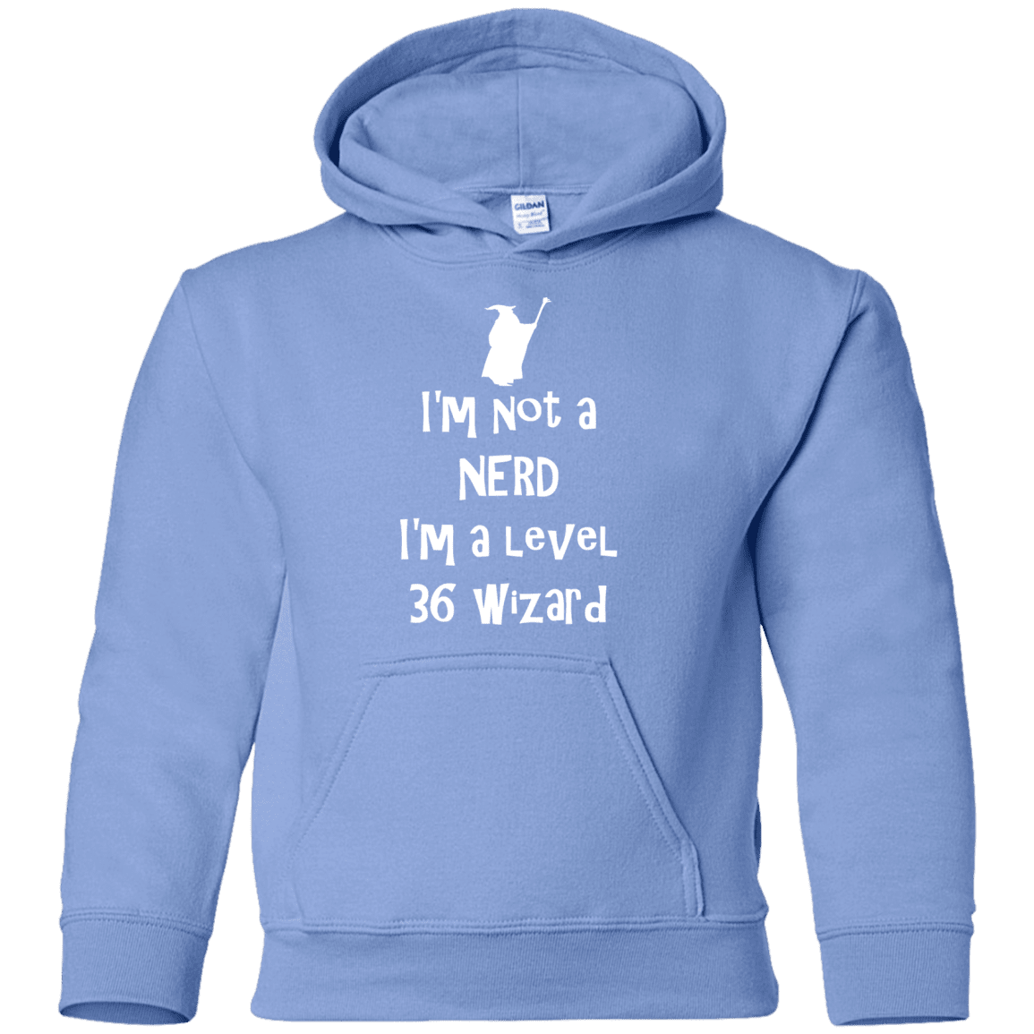 Sweatshirts Carolina Blue / YS Not a Nerd Youth Hoodie