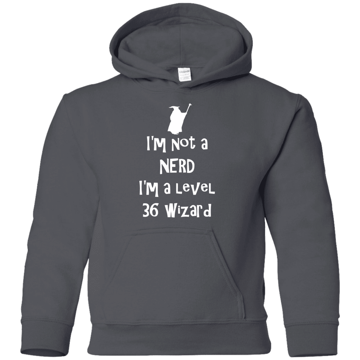 Sweatshirts Charcoal / YS Not a Nerd Youth Hoodie