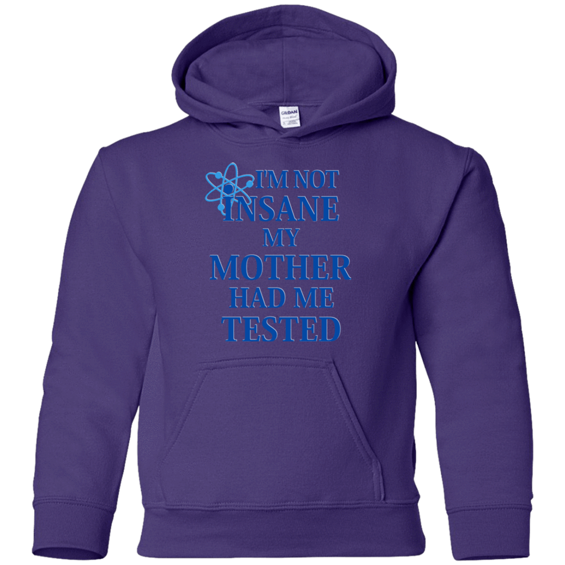 Sweatshirts Purple / YS Not insane Youth Hoodie