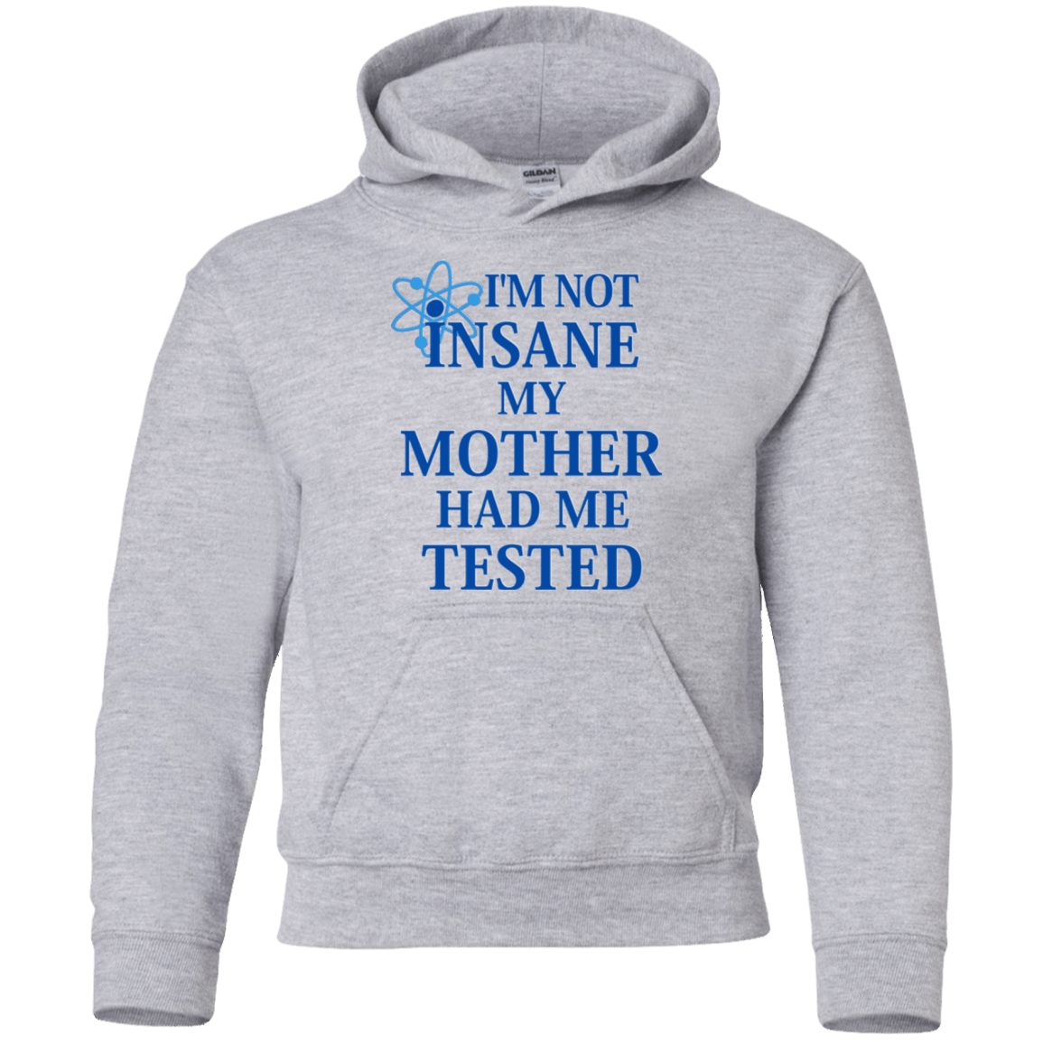 Sweatshirts Sport Grey / YS Not insane Youth Hoodie