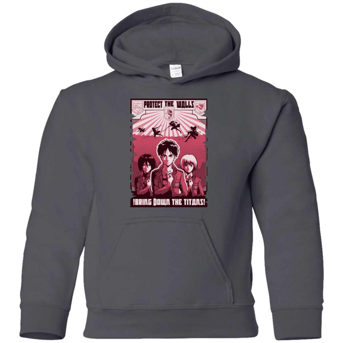 Sweatshirts Charcoal / YS Protect the Walls Youth Hoodie