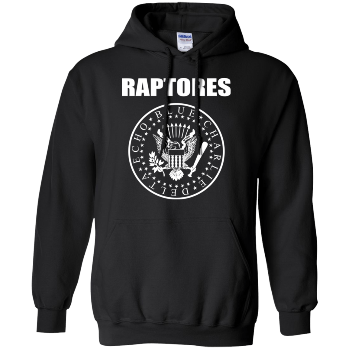 Sweatshirts Black / Small Raptores Pullover Hoodie