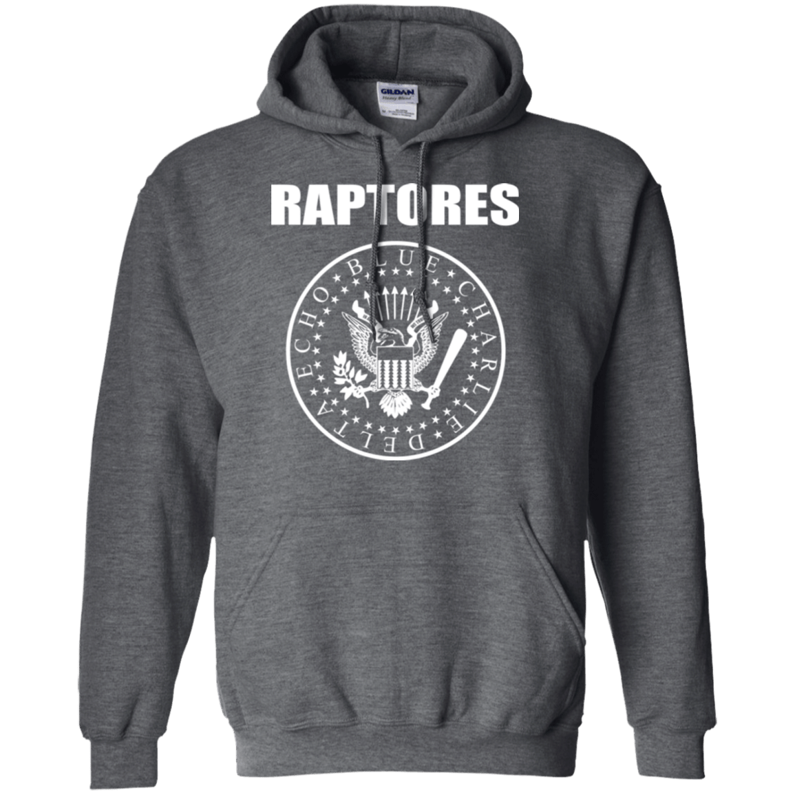 Sweatshirts Dark Heather / Small Raptores Pullover Hoodie