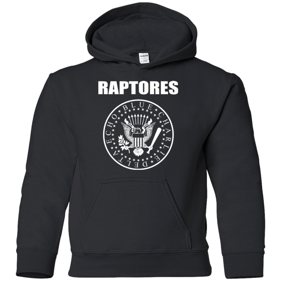 Sweatshirts Black / YS Raptores Youth Hoodie