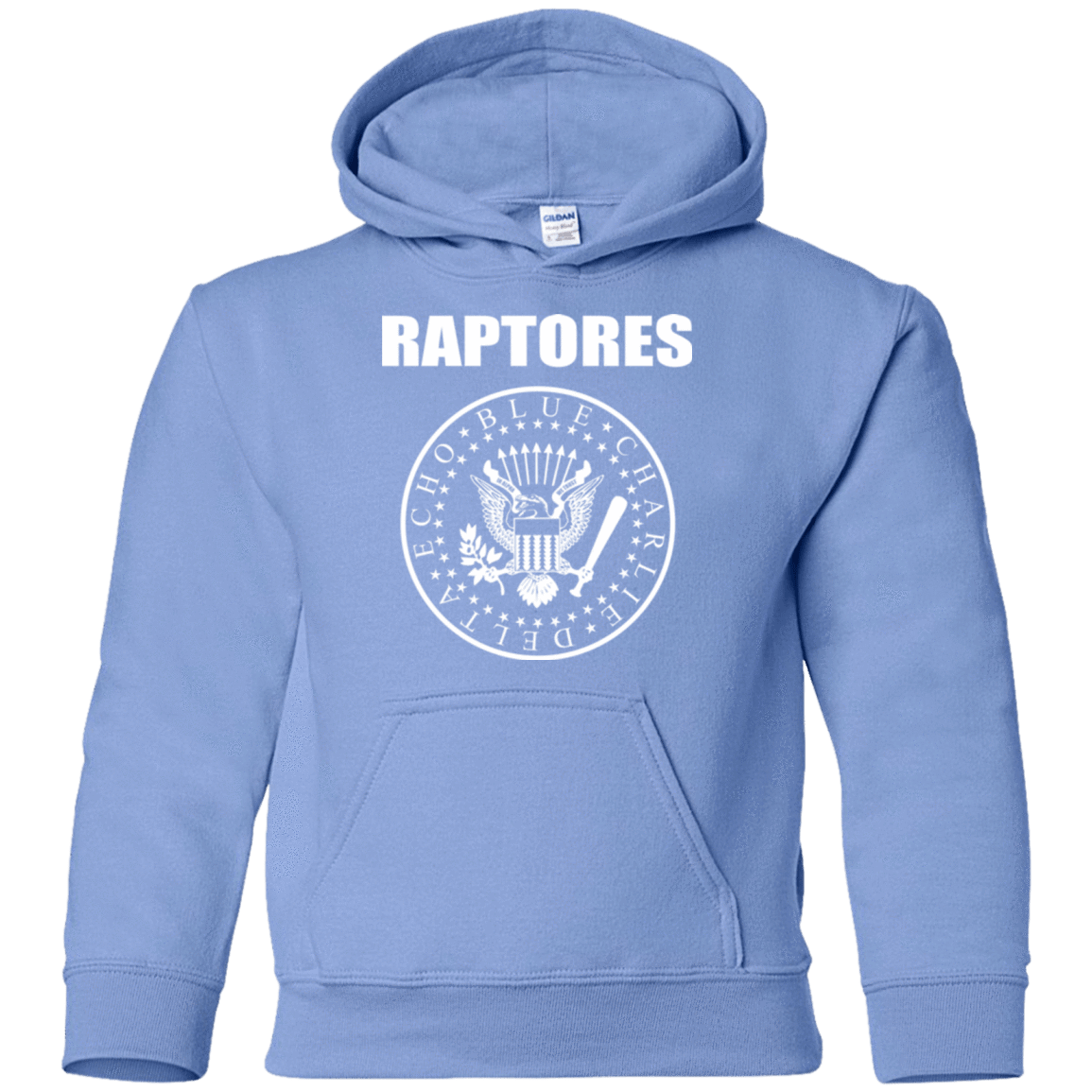 Sweatshirts Carolina Blue / YS Raptores Youth Hoodie