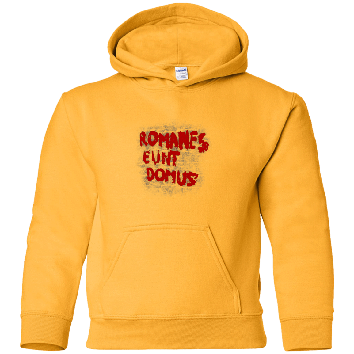 Sweatshirts Gold / YS Romanes eunt Youth Hoodie