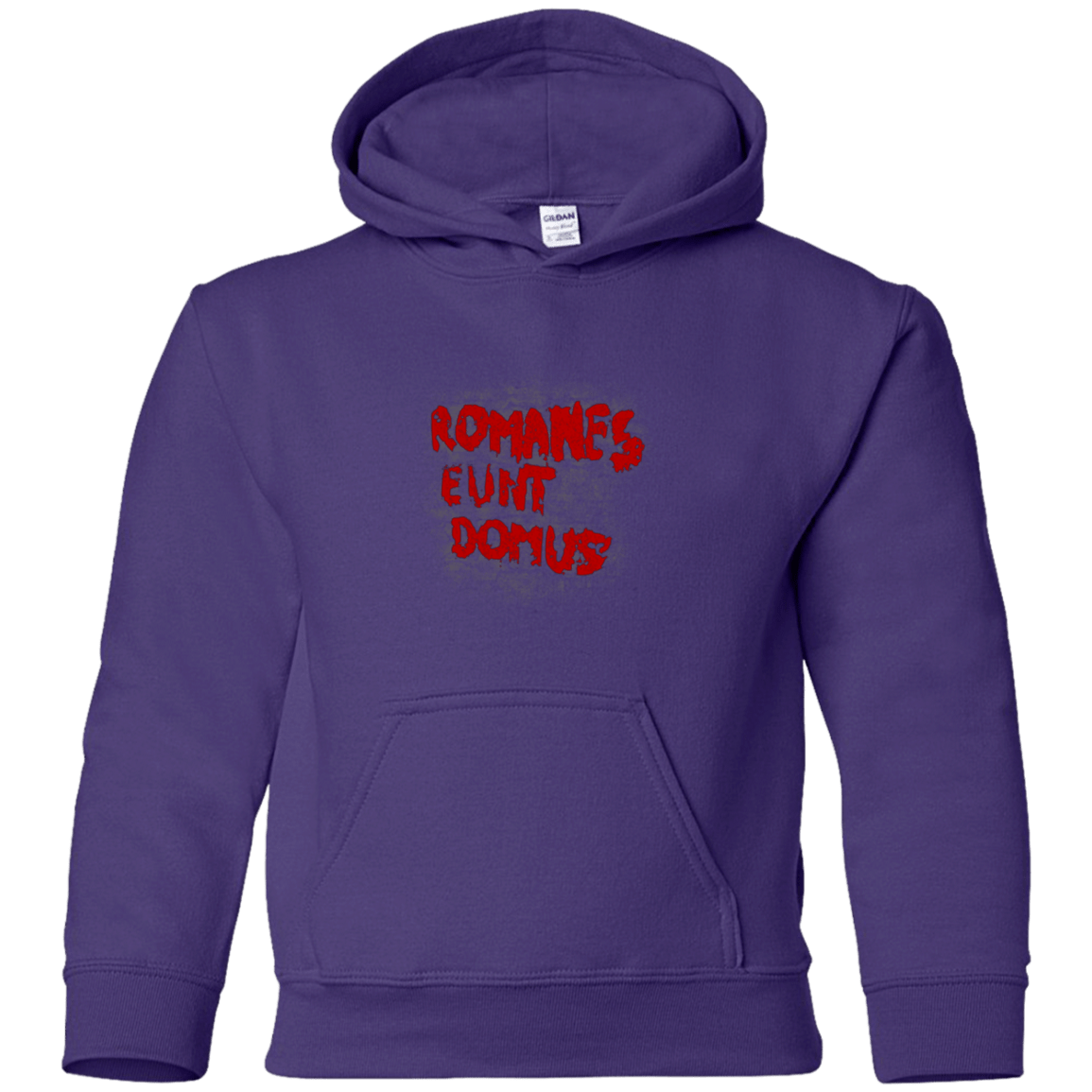 Sweatshirts Purple / YS Romanes eunt Youth Hoodie