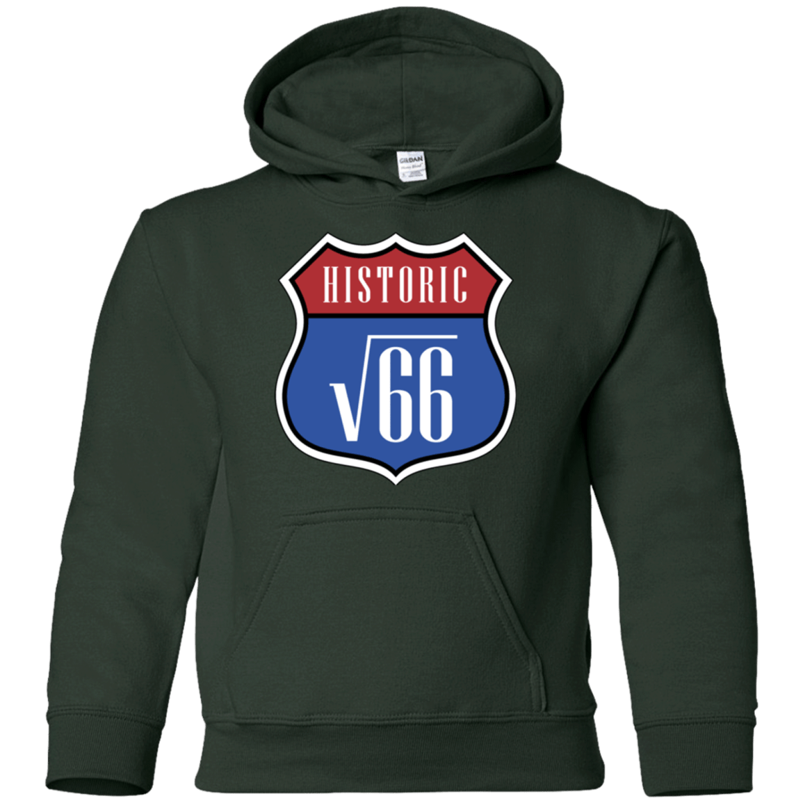 Sweatshirts Forest Green / YS Route v66 Youth Hoodie