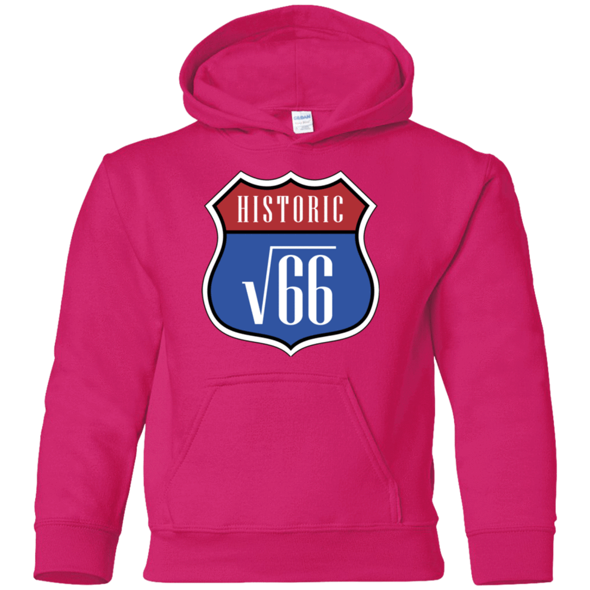 Sweatshirts Heliconia / YS Route v66 Youth Hoodie