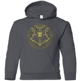 Sweatshirts Charcoal / YS School of Magic Youth Hoodie