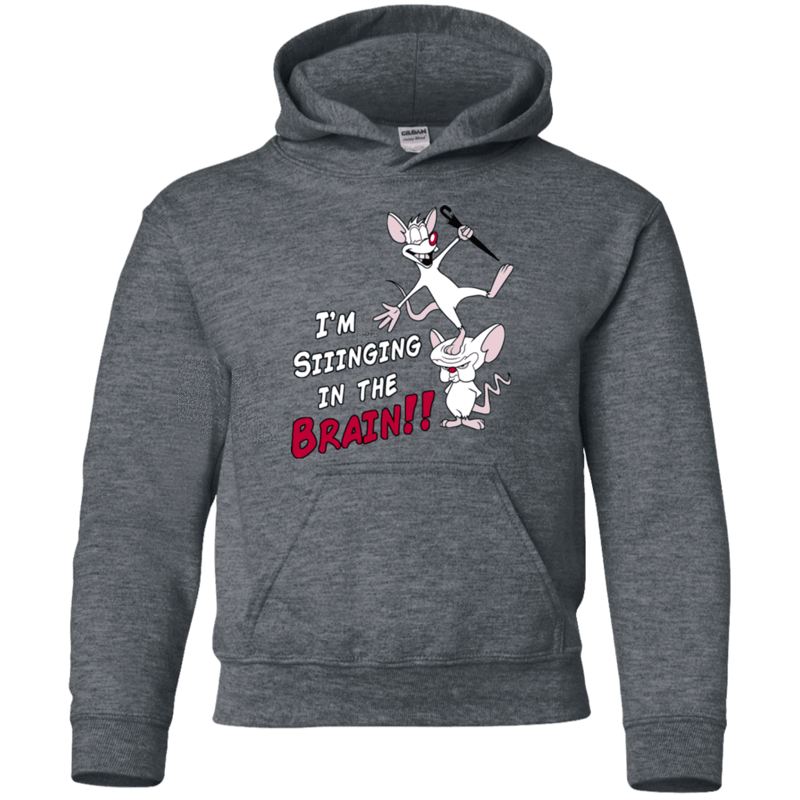 Sweatshirts Dark Heather / YS Singing In The Brain Youth Hoodie