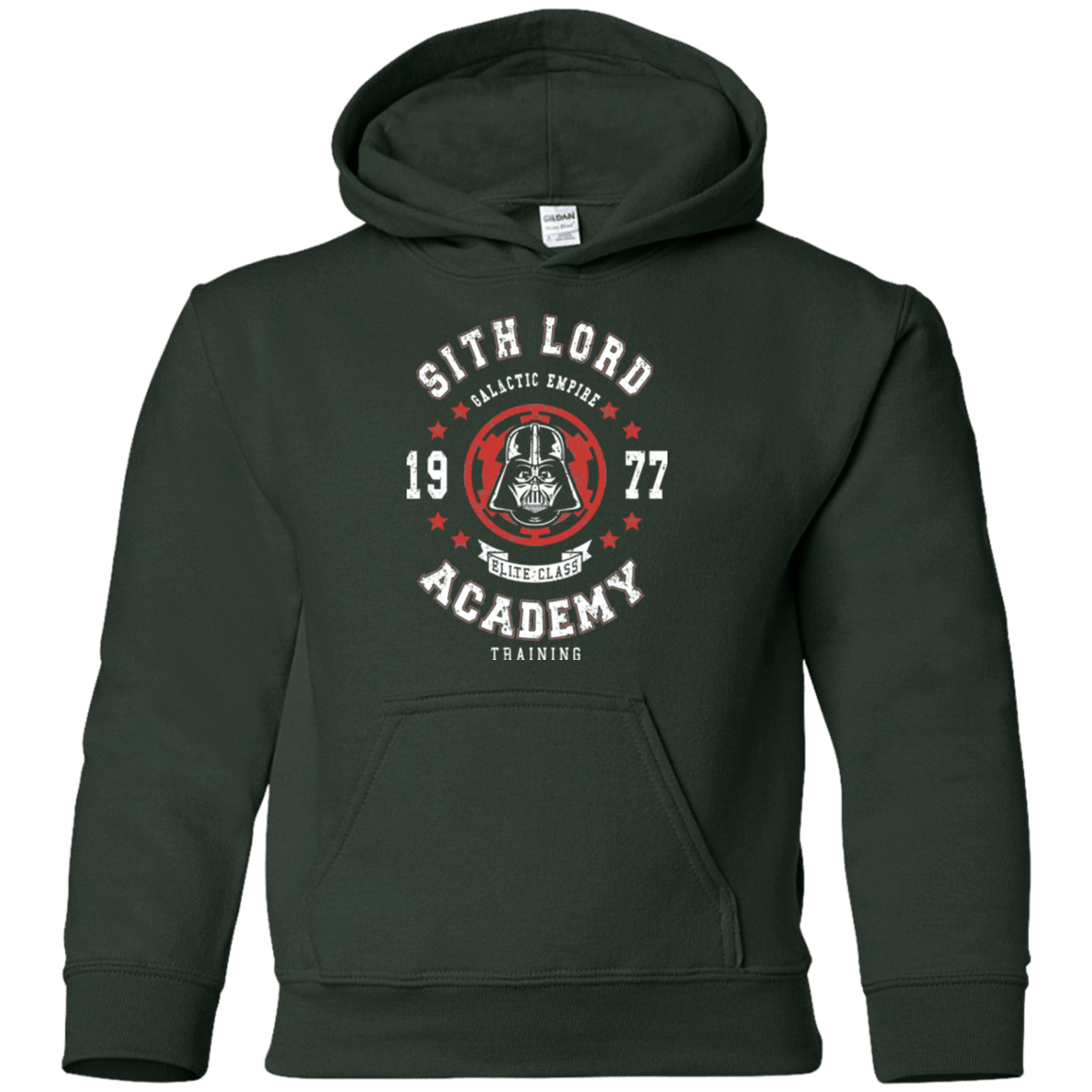 Sweatshirts Forest Green / YS Sith Lord Academy 77 Youth Hoodie