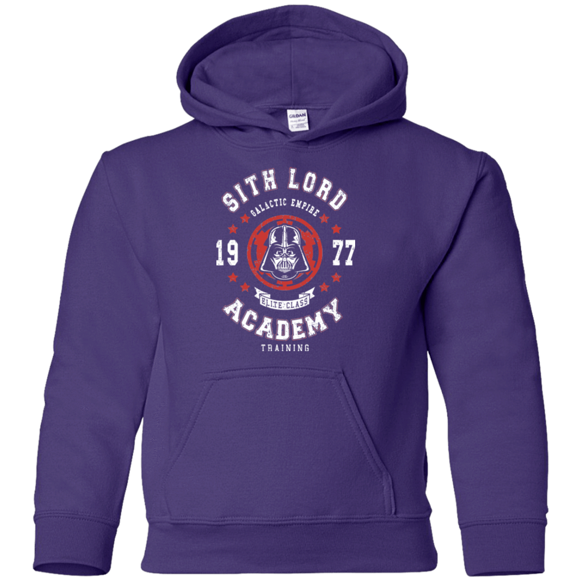Sweatshirts Purple / YS Sith Lord Academy 77 Youth Hoodie