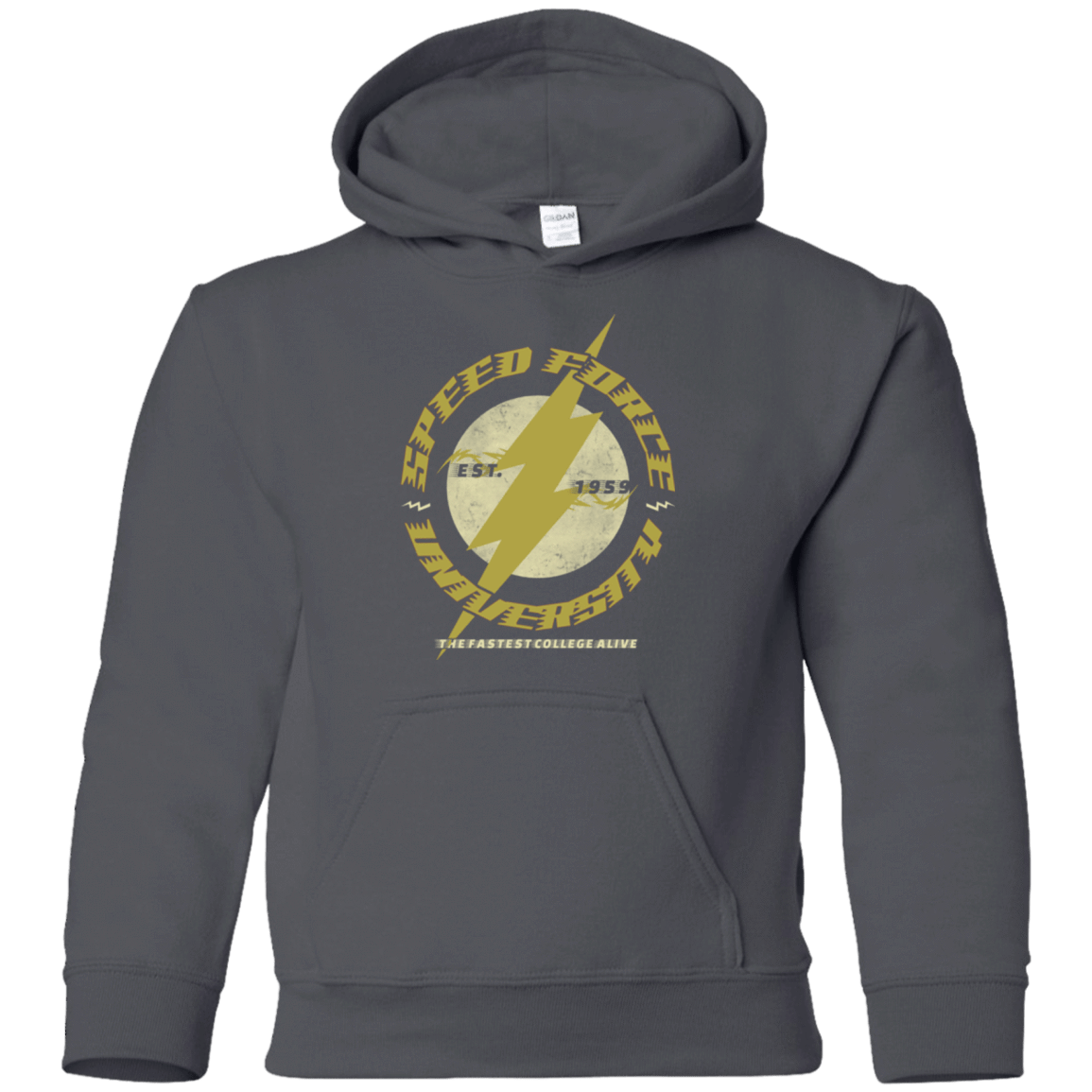 Sweatshirts Charcoal / YS Speed Force University Youth Hoodie