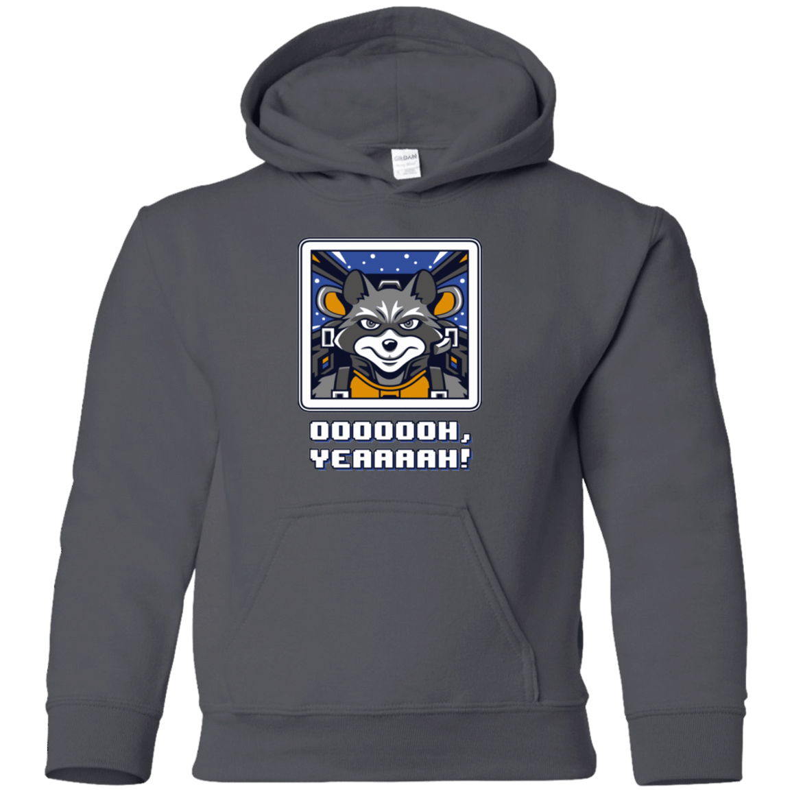 Sweatshirts Charcoal / YS Star Raccoon Youth Hoodie
