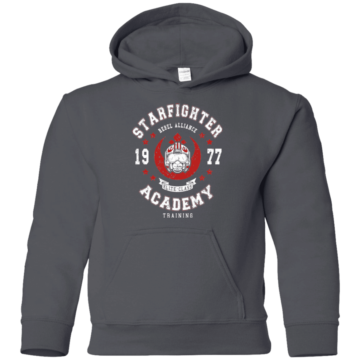 Sweatshirts Charcoal / YS Starfighter Academy 77 Youth Hoodie
