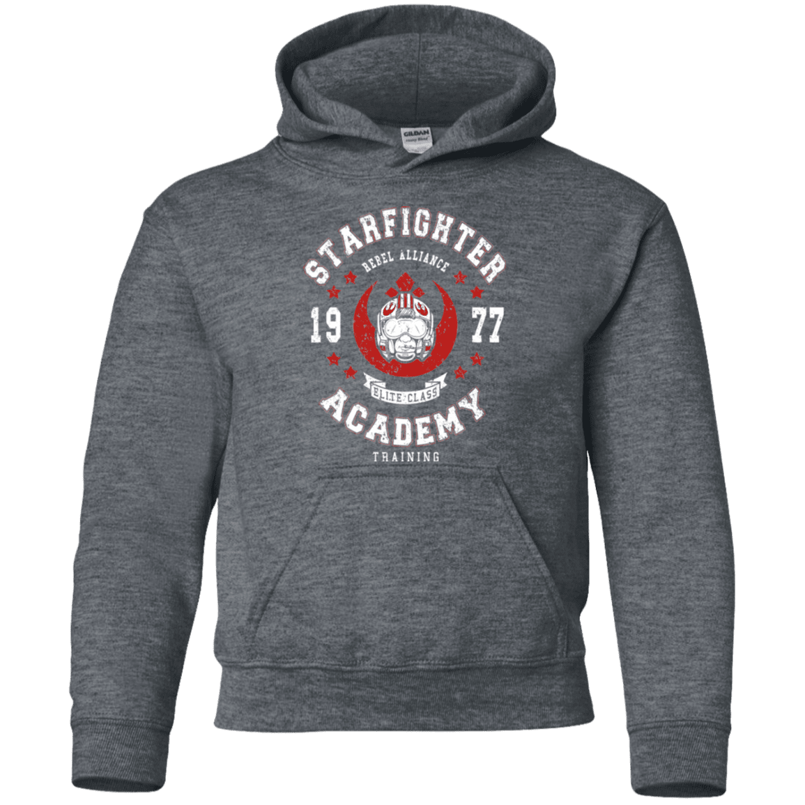 Sweatshirts Dark Heather / YS Starfighter Academy 77 Youth Hoodie
