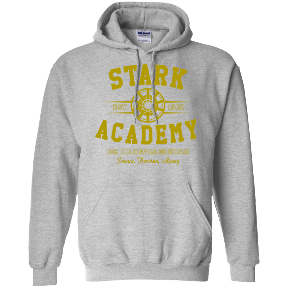 Sweatshirts Sport Grey / Small Stark Academy Pullover Hoodie