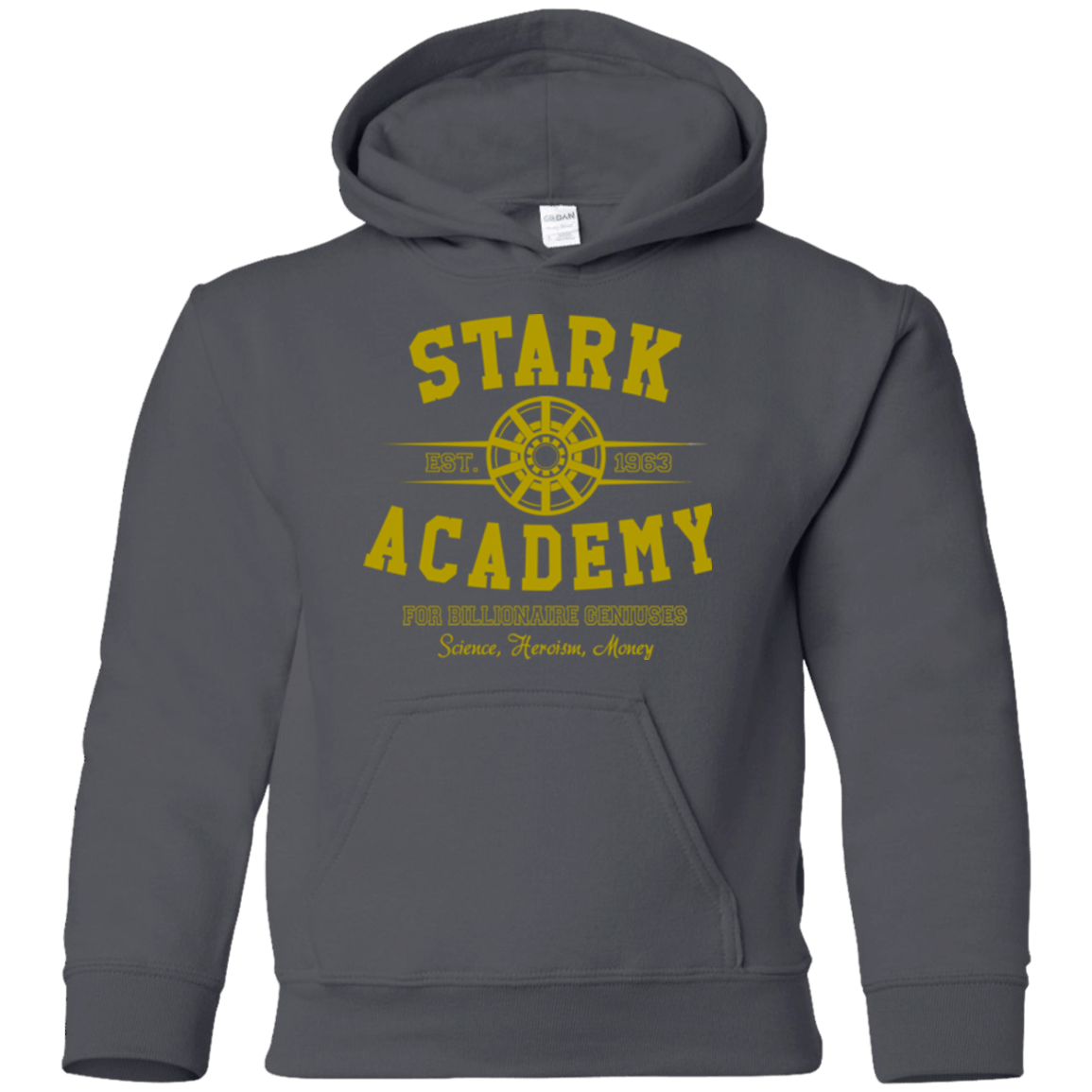 Sweatshirts Charcoal / YS Stark Academy Youth Hoodie