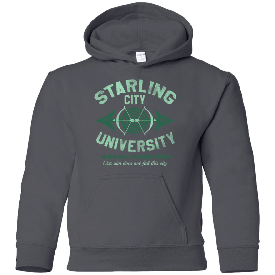 Sweatshirts Charcoal / YS Starling City U Youth Hoodie