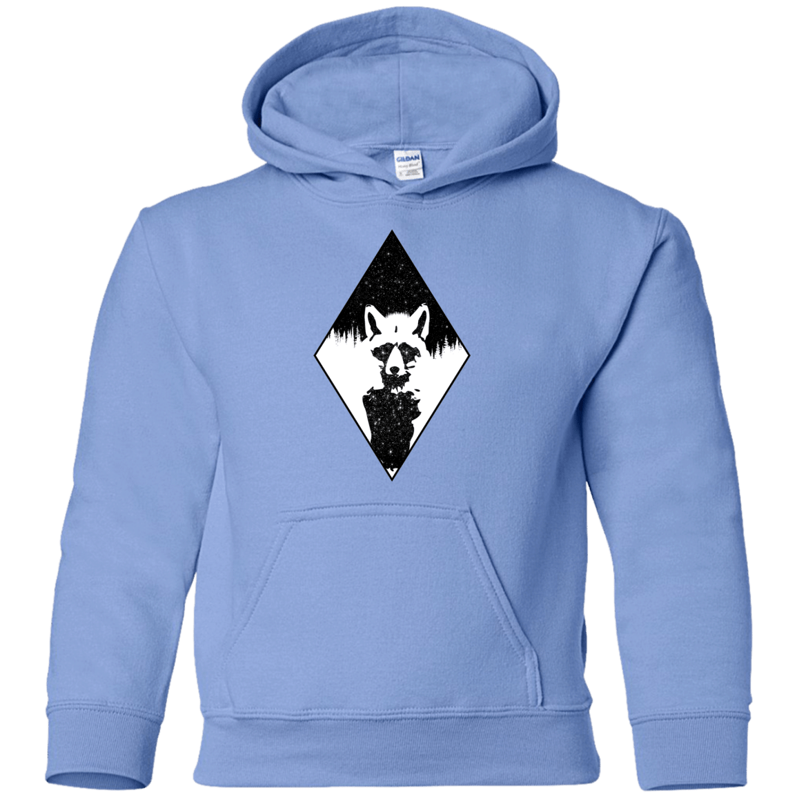 Sweatshirts Carolina Blue / YS Starry Raccoon Youth Hoodie