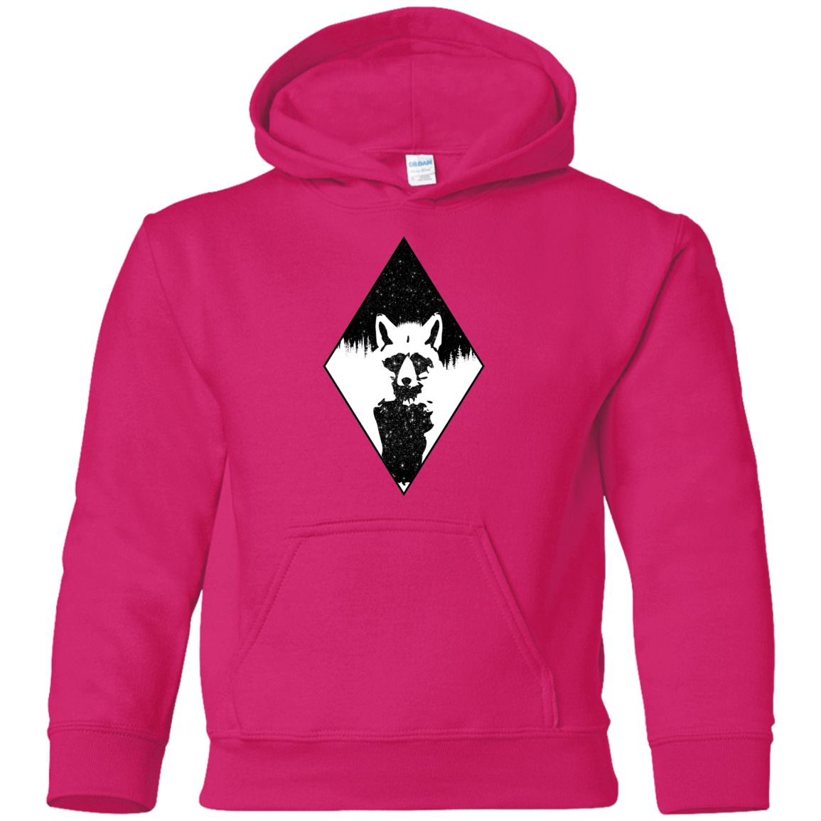 Sweatshirts Heliconia / YS Starry Raccoon Youth Hoodie