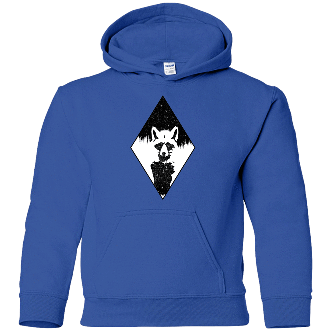 Sweatshirts Royal / YS Starry Raccoon Youth Hoodie