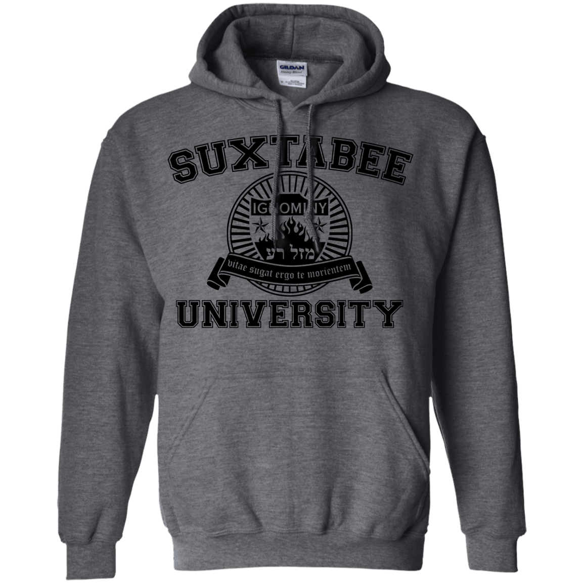Sweatshirts Dark Heather / S SUX2BU Pullover Hoodie