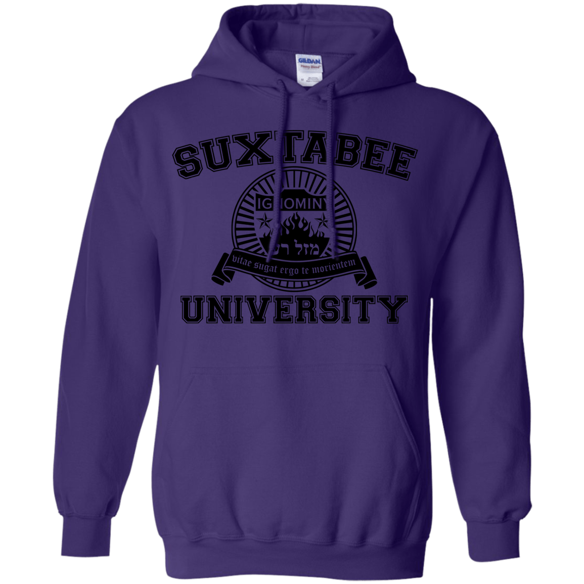 Sweatshirts Purple / S SUX2BU Pullover Hoodie