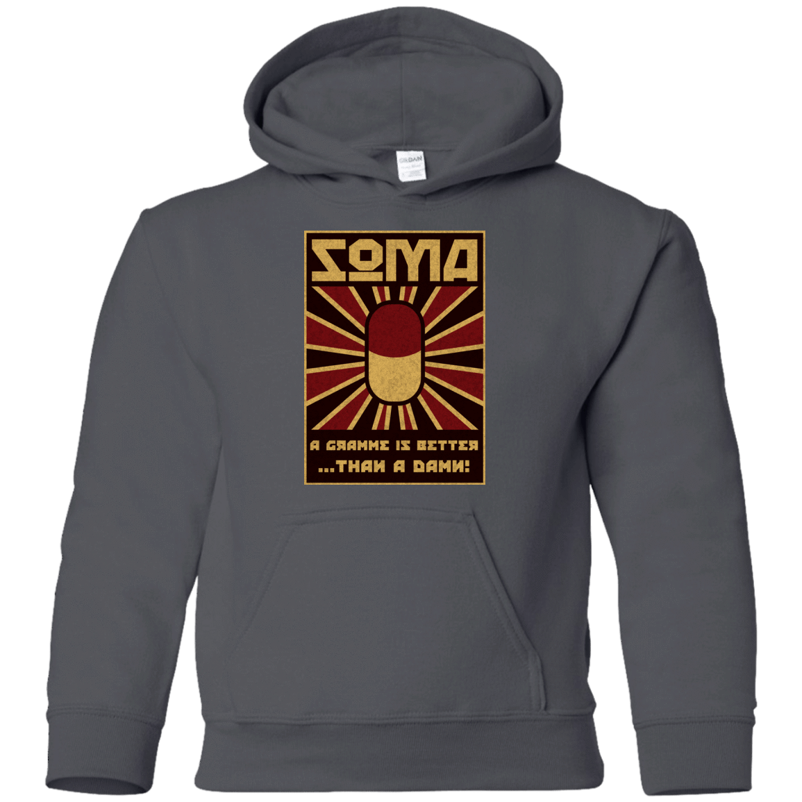 Sweatshirts Charcoal / YS Take Soma Youth Hoodie