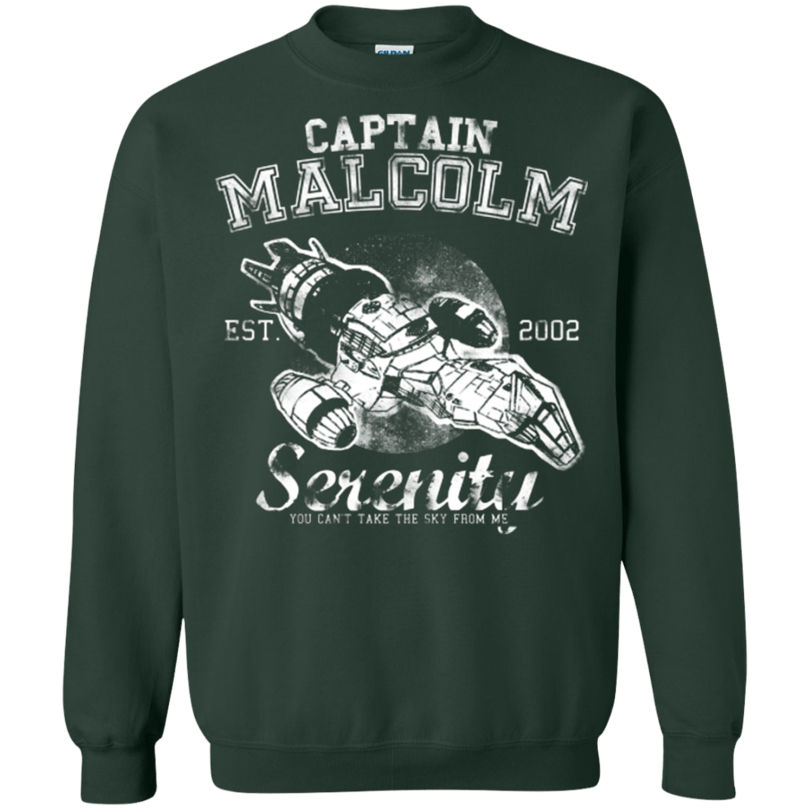 Sweatshirts Forest Green / Small Take to the Sky Crewneck Sweatshirt