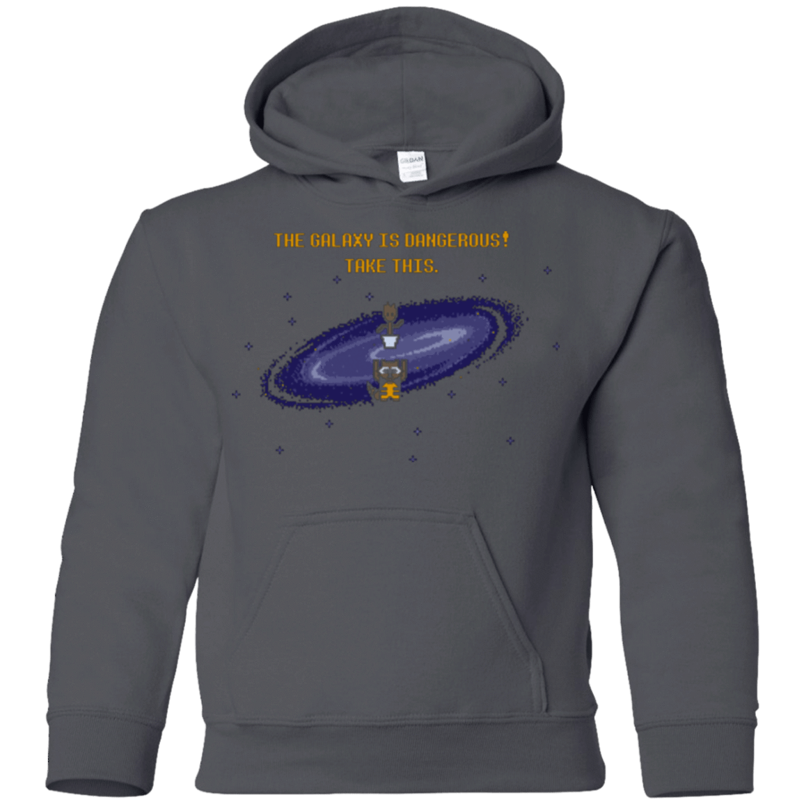 Sweatshirts Charcoal / YS The Galaxy is Dangerous Youth Hoodie