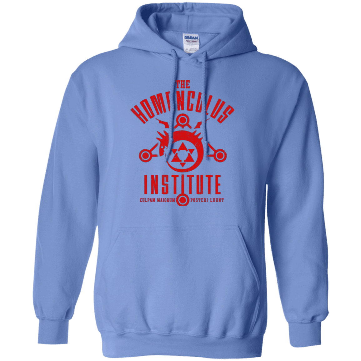 Sweatshirts Carolina Blue / Small The Sins of the Father Pullover Hoodie