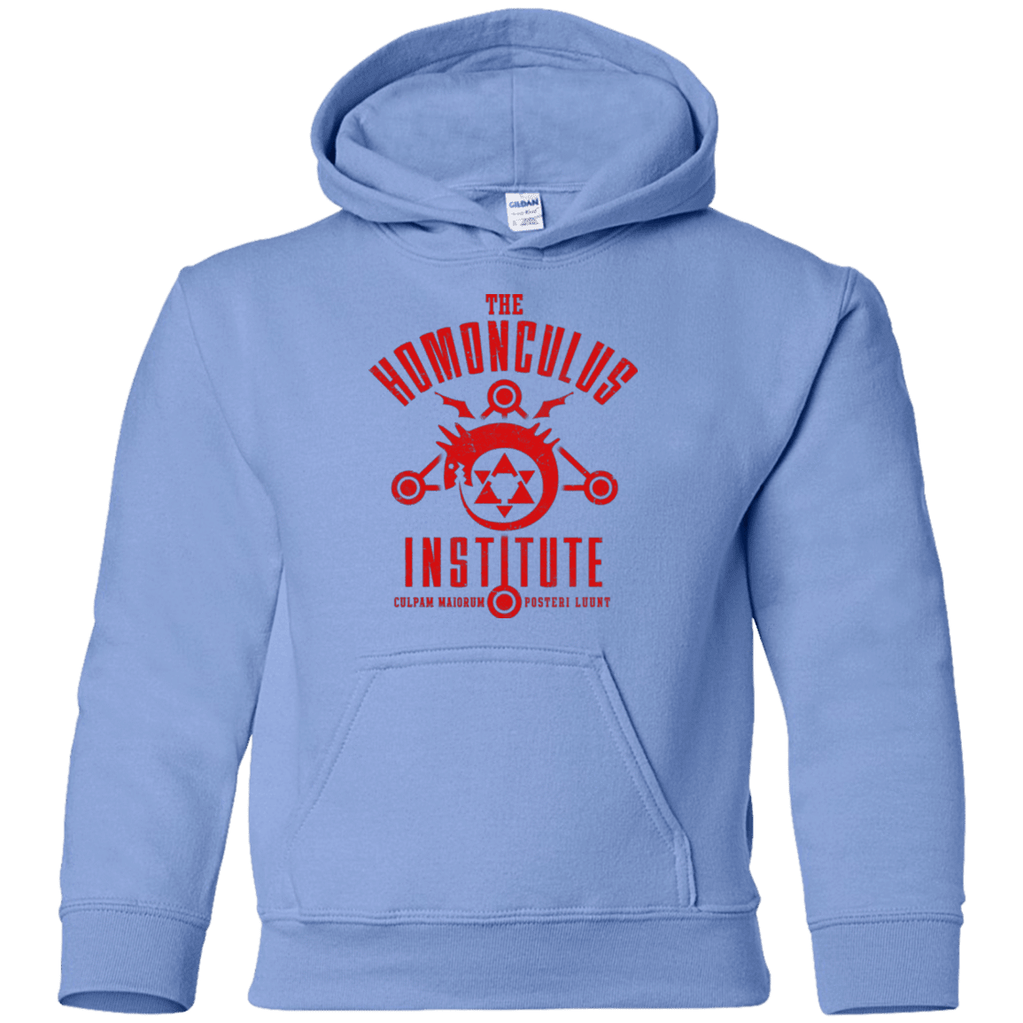 Sweatshirts Carolina Blue / YS The Sins of the Father Youth Hoodie
