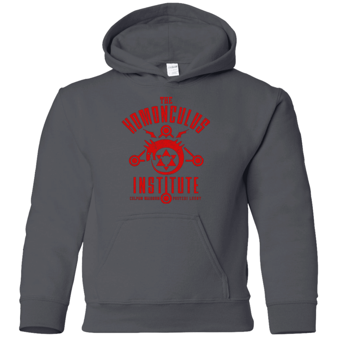 Sweatshirts Charcoal / YS The Sins of the Father Youth Hoodie