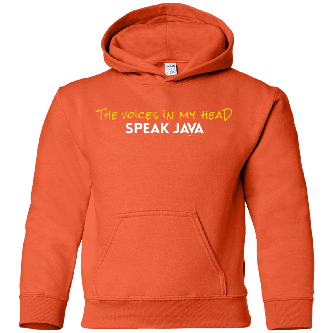 The Voices In My Head Speak Java Youth Hoodie