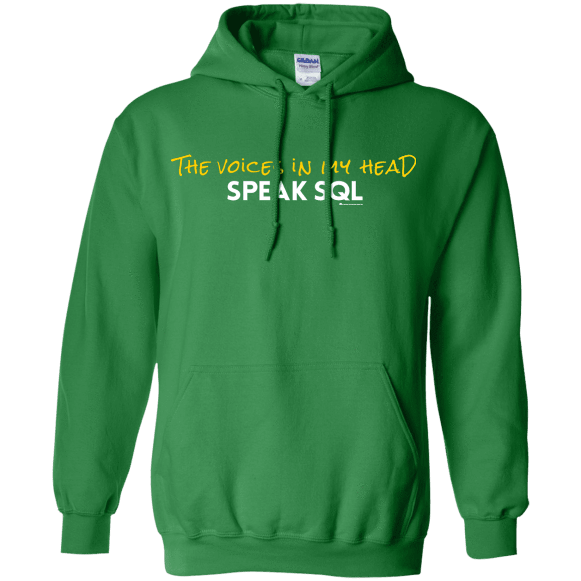 The Voices In My Head Speak SQL Pullover Hoodie