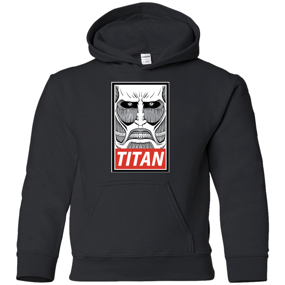 Sweatshirts Black / YS Titan Youth Hoodie