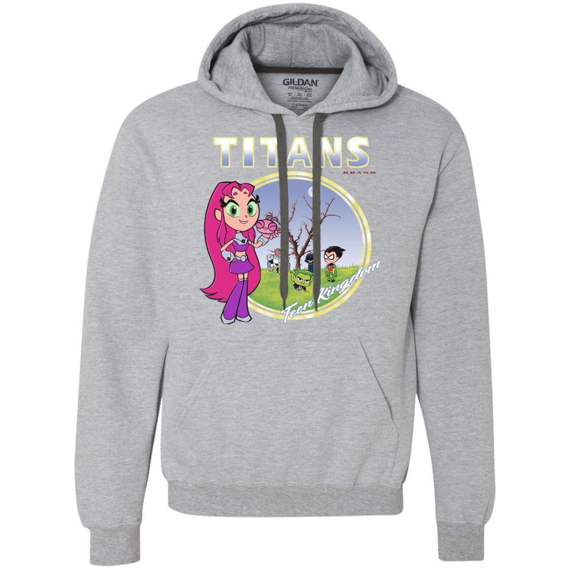 Sweatshirts Sport Grey / S Titans Premium Fleece Hoodie