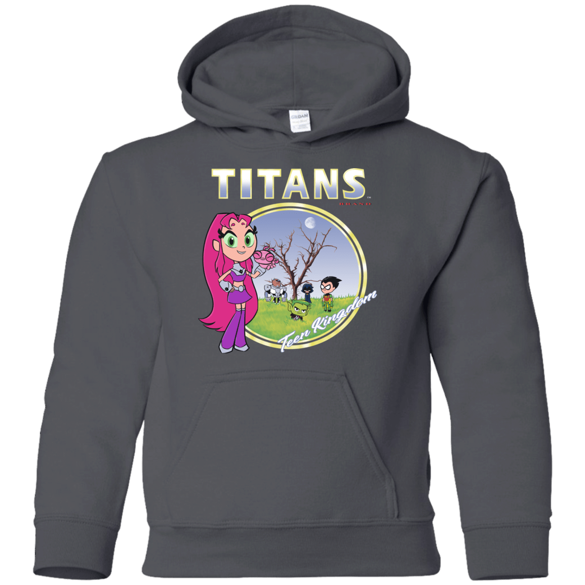 Sweatshirts Charcoal / YS Titans Youth Hoodie